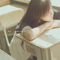 word文档编辑软件的运行环境是